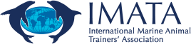imata logo
