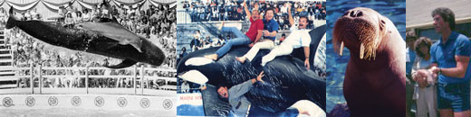 IMATA historical photos form the 1980s