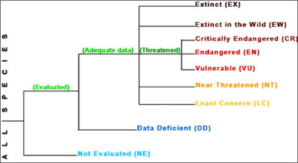 Endangered and threatened species chart Endangered and threatened species chart