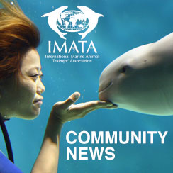 Stay current with the latest news within the community