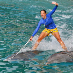 Hey members - Check out the gallery of Conference Opening Videos!